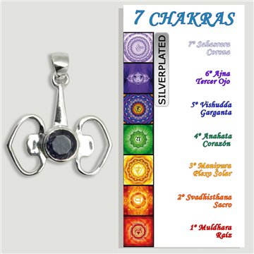 CHAKRA. Colgante PLATA. Facetado Doble corazon