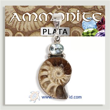 Pendentif en argent. Ammonites avec pierres précieuses. À partir de 6 gr. (PRIX PAR GRAMME)