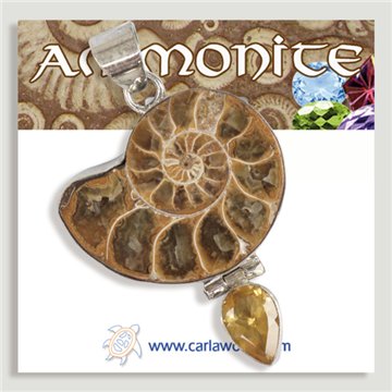 Pendentif en argent. Ammonites avec pierres précieuses. À partir de 6 gr. (PRIX PAR GRAMME)