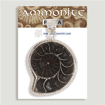 Colgante de Plata. Ammonites con gemas. A partir de 6 gr. (PRECIO POR GRAMO)
