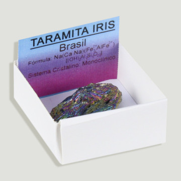 Boîte 4x4  - Taramita - Brésil