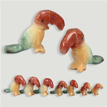 Onyx toucan family. Mexico