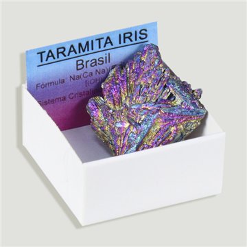 4x4 Box - Iridescent Taramita - Brazil