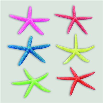 Estrella Mar punta. Colores surtidos. 15-20cm