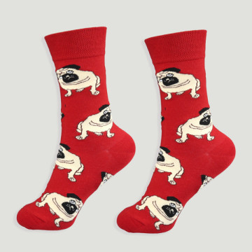 Socks. Model: Pug (Dog)