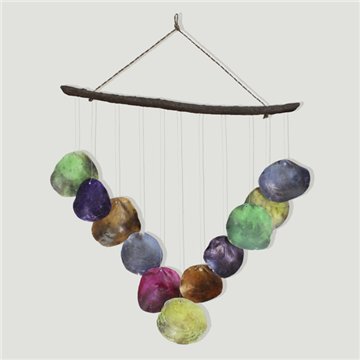 Coquilles mobiles et placuna 10 pièces. Multicolore. 50x65cm