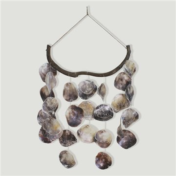 Coquilles mobiles et placuna 25 pièces. Couleur naturelle. 40x70cm