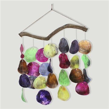 Conchas móveis e placuna 25 peças. Multicolorido. 40x70cm