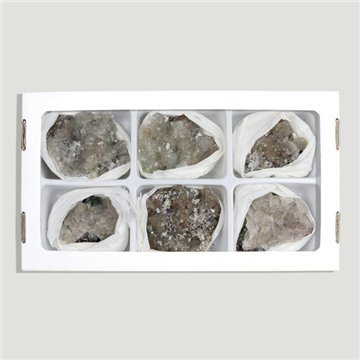 Fleur d'améthyste. 6-7 cm environ.