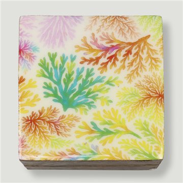 Caja cuadrada madera mango. Modelo Estampación mar. 10x10x5cm