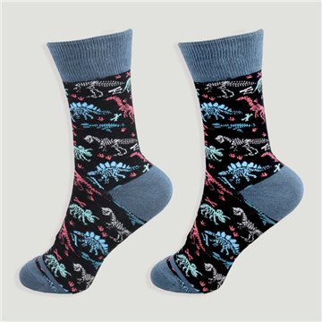 Chaussettes. Modèle Dinosaure