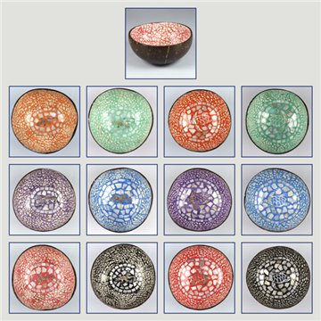 Coconut bowl + mother of pearl. Turtle/gecko model. 13x5cm