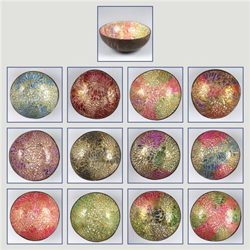 Coconut bowl + mother of pearl. Abstract model. 13x5cm