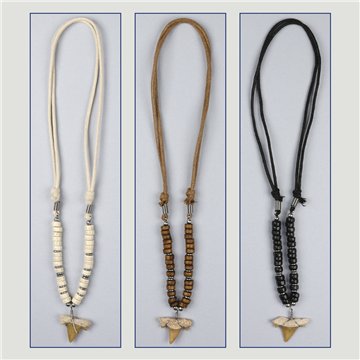 Pendant. 33. Shark tooth. Assorted