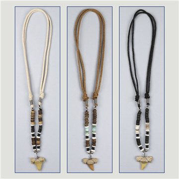 Pendant. 35. Shark tooth. Assorted