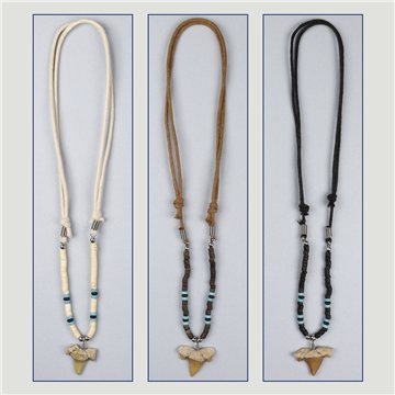 Pendant. 37. Shark tooth. Assorted