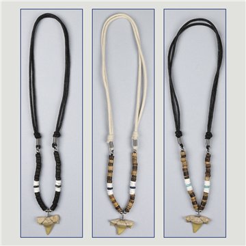 Pendant. 39. Shark tooth. Assorted