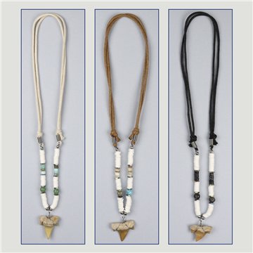 Pendant. 45. Shark tooth. Assorted