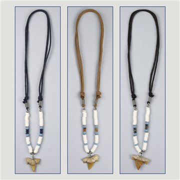 Pendant. 47. Shark tooth. Assorted