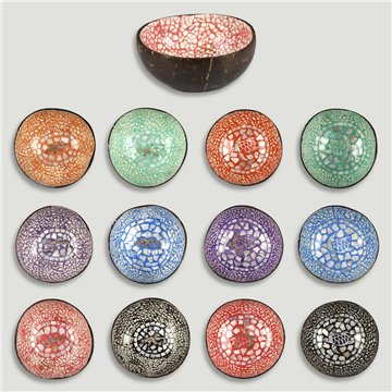 Coconut bowl + mother of pearl. Turtle/gecko model. 13x5cm