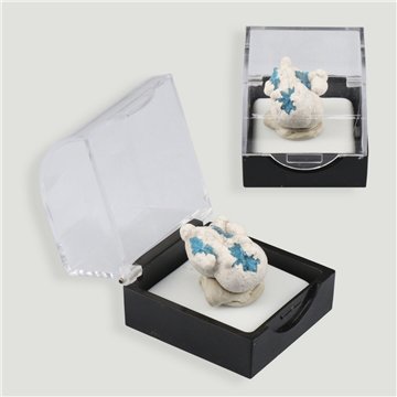 Cavansita en Vitrina. 2,5x2x1cm aprox.