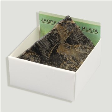 Cajita 4x4 - Jaspe Hoja de plata - Sudáfrica. 