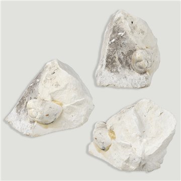 Piedra Hada en Matriz pequeño