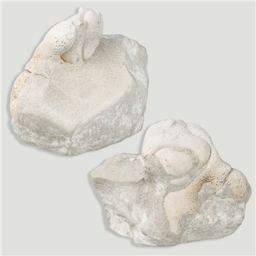 Piedra Hada en Matriz mediano