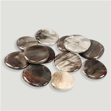 Rodado plano pulido. Xilopalo. 3-4cm aprox.