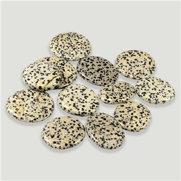 Rodado plano pulido. Jaspe Dalmata. 3-4cm aprox.