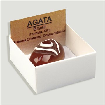 Cajita 4x4 - Ágata Ojo Shiva - India