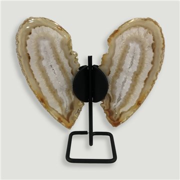 Papillon Agate. 16x14cm env. - 0,268kg