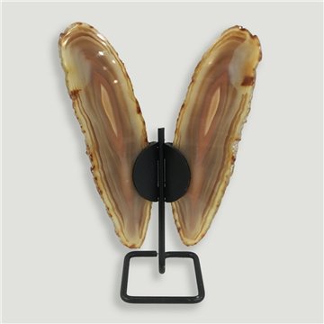 Papillon Agate. 18x12cm env. - 0,262kg