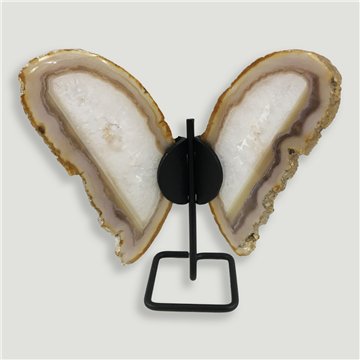 Papillon Agate. 16x15cm env. - 0,34kg