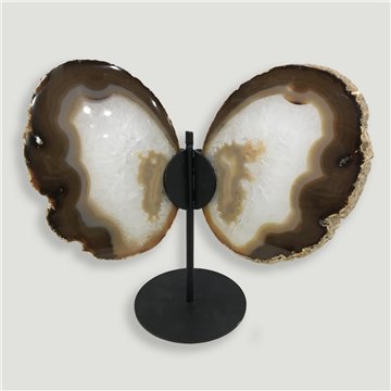 Papillon Agate. 21x21,5cm env. - 0,672kg