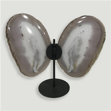 Papillon Agate. 22x25cm env. - 0,752kg