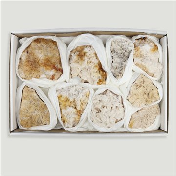 Boîte de Baryte cristallisée. 3,5-4cm aprox 33x22