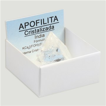 Cajita 4x4 - Apofilita pirámide (pequeña) - India