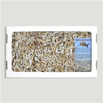 Fossils. Shark teeth and marine remains. 1kg. 26x14cm