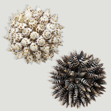 Boule avec coquillages. 2 modèles assortis. 9-10cm.