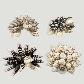 Turtle shell crafts 6-7cm. assorted models