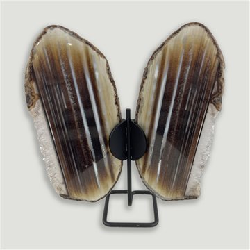 Papillon Agate. 20x26cm env. 0,432kgs.