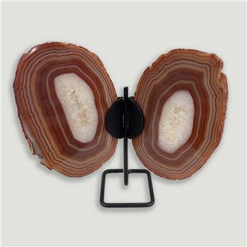 Papillon Agate. 16x17cm env. 0,438kgs.