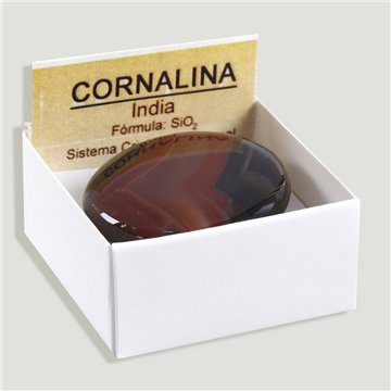 Cajita 4x4 - Cornalina (Rodado plano) - India
