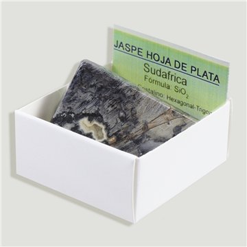 Cajita 4x4 - Jaspe Hoja de Plata - Sudafrica
