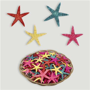 Flat Starfish Basket. Assorted colors. 2-4cm approx. (100 units)