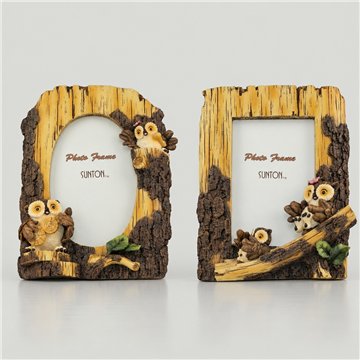 Owl Model 02. Phrame 16x20cm photos
