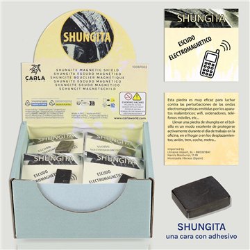 SHUNGITA. Minéral de carbone organique.