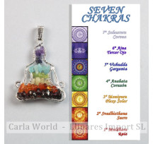 Chakras y Reiki