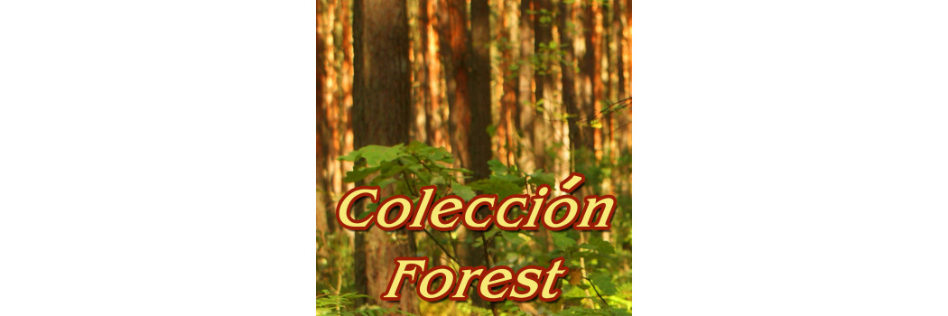 CarlaCollection Forêt